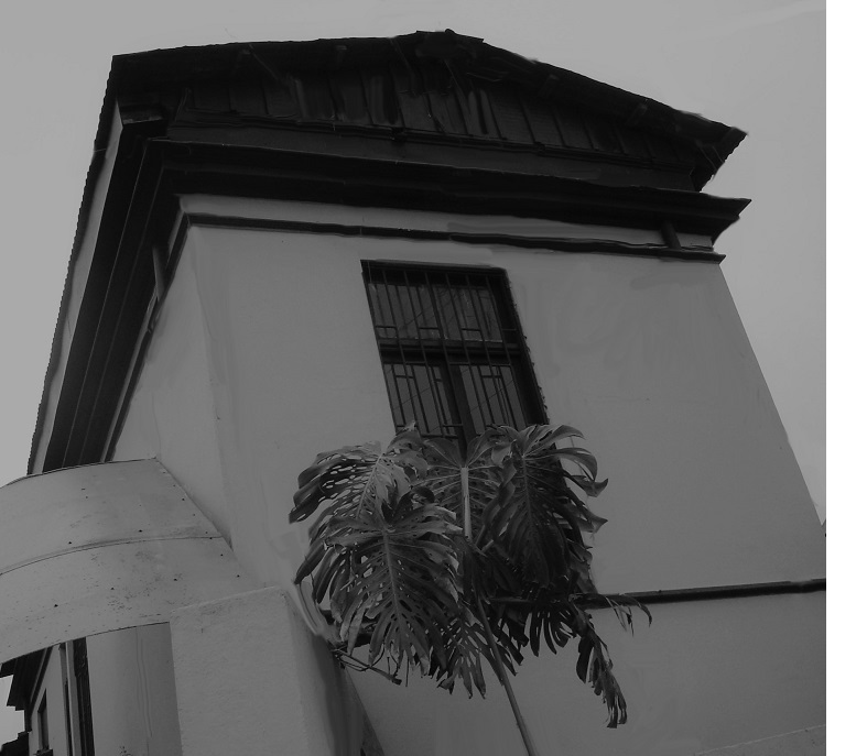 Cementerio Santa Inés